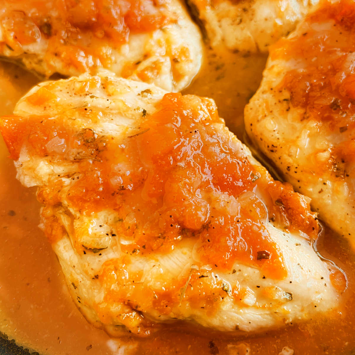 Stuffed Apricot Glazed Chicken with Dried Fruit